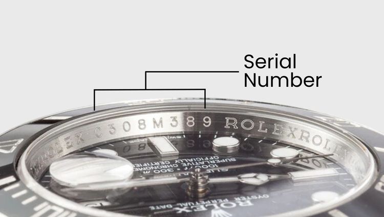 Understanding Rolex Serial Number Main Image
